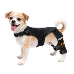 ALYBIT rodillera para perro frente: soporte estable para movilidad diaria.