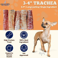 Amazing Dog Treats bolsa 12 unidades, snack duradero para perros.