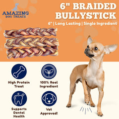 Amazing Dog Treats bully-stick trenzado con detalle de textura para masticar.