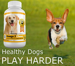 Amazing Omega 3 para perros, pelo más brillante y suave tras cada masticable.