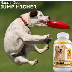 Perro comiendo Amazing Omega 3, masticable sabroso para la alimentación diaria.