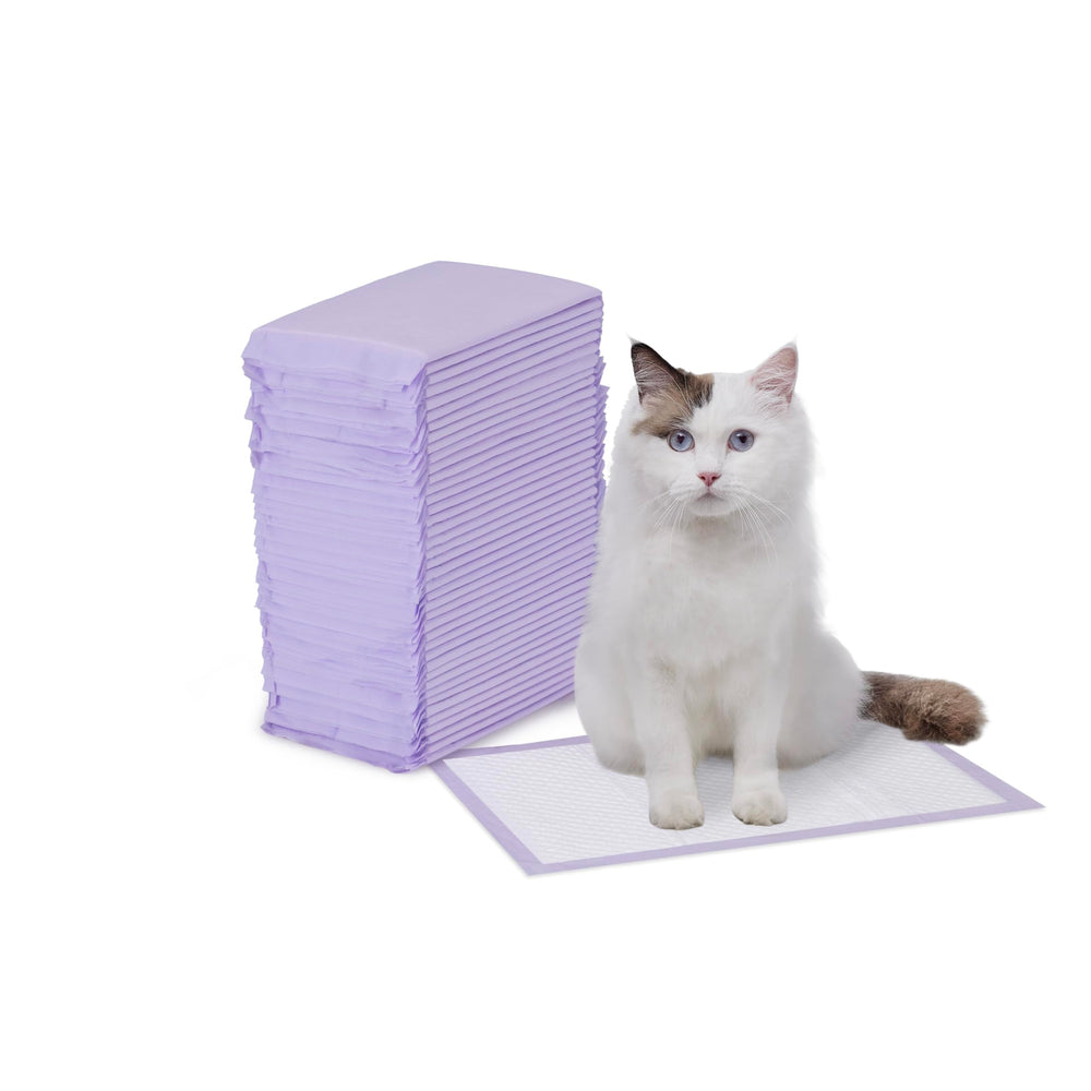 Amazon Basics almohadillas para gato con absorción superior para caja de arena.