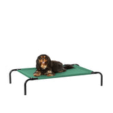 Cama elevada Amazon Basics para perros pequeños en verde, descanso cómodo.