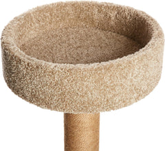Amazon Basics Cama gato redonda con bordes, rincón de descanso
