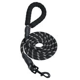 Amazon Basics correa para perro redonda de 6 pies, ideal para paseos diarios y entrenamiento.