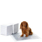 Amazon Basics pad entrenamiento perros con control de olor, 22x22 pulgadas.