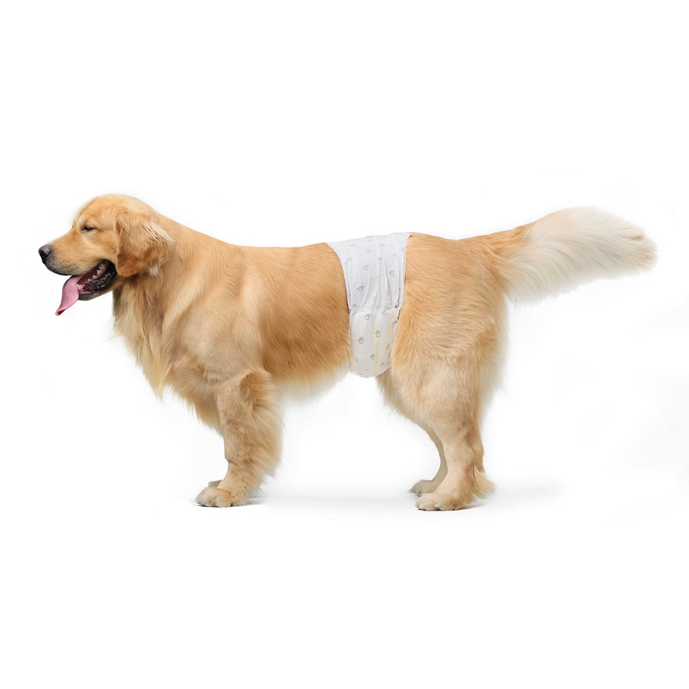 Amazon Basics pañales para perro macho grande, paquete de 30, útiles para entrenamientos.