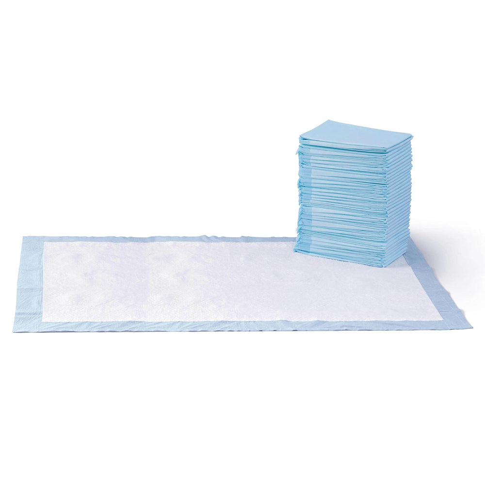Amazon Basics tapete de entrenamiento para perros gigante 44x27 pulgadas, ideal para casa
