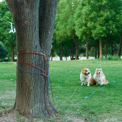 Amazon Basics uso diario con perros de hasta 60 lb, práctico y seguro.
