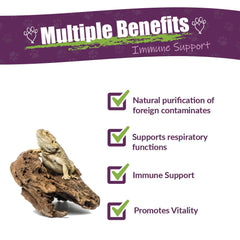 AMBER NATURALZ Reptaid XL, dosificación diaria para reptiles grandes