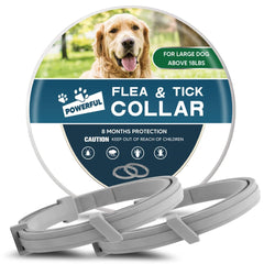 AMDEIUR collar antipulgas para perros grandes con ajuste cómodo para paseos diarios