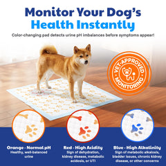 AKC American Kennel Club: diseño a prueba de fugas para mayor protección en entrenamiento