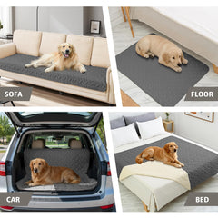 Ameritex diseño nuevo para mascotas en sala con estilo