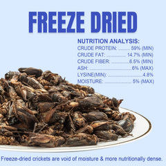 Amzey grillos deshidratados, snack proteico para aves