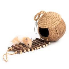 andwe columpio para aves con comedero en movimiento