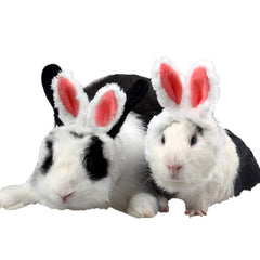 ANIAC disfraz conejo peluche orejas rosa, ideal para sesiones de fotos