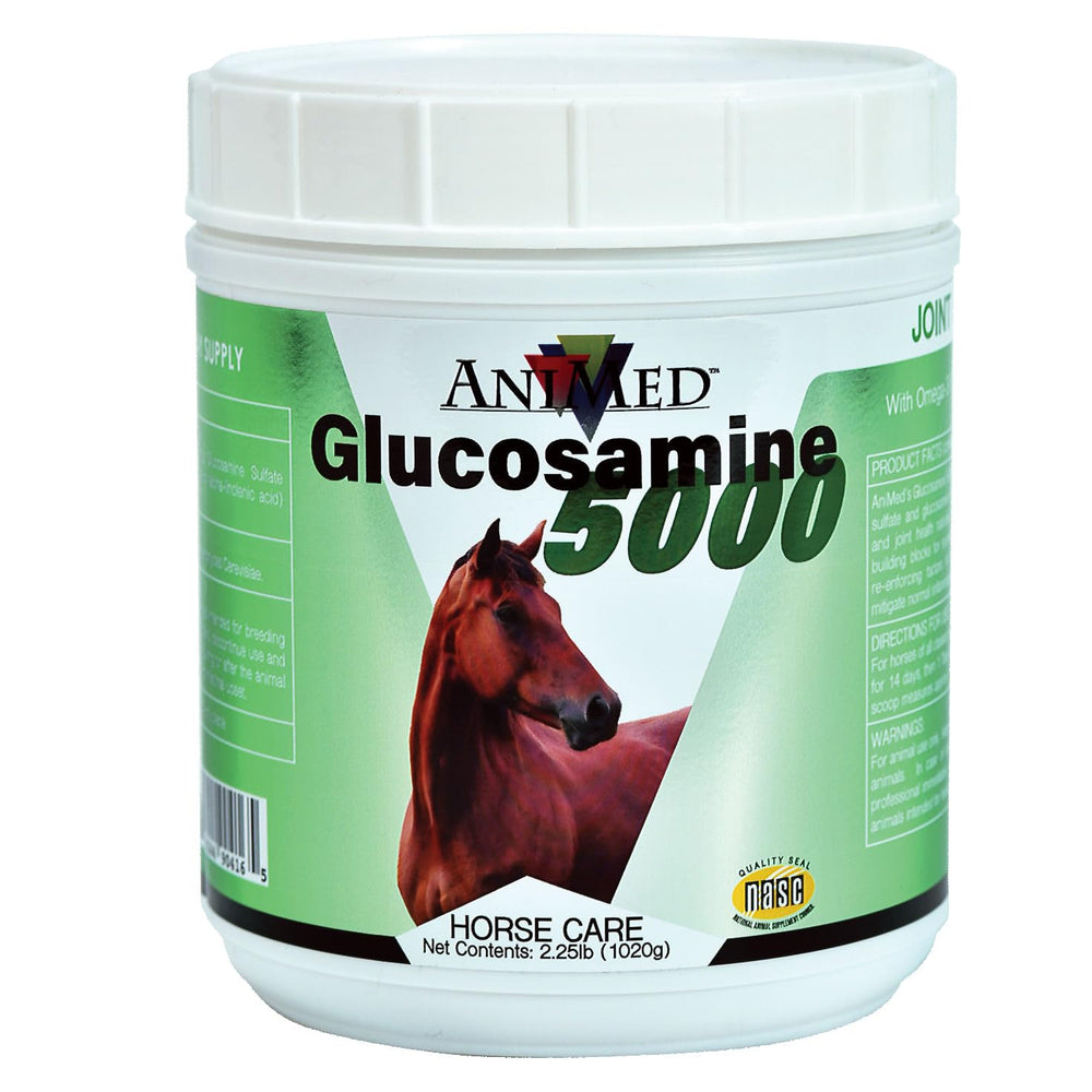 ANIMED Glucosamina 5000 en polvo en envase, posible apoyo para articulaciones en caballos
