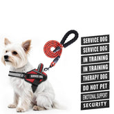 Animire arnés de servicio para perro con parches, señalización y beneficios de personalización.