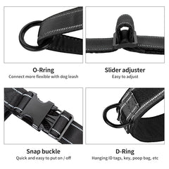 Arnés Annchwool con dos anillos para enganchar correa y accesorios
