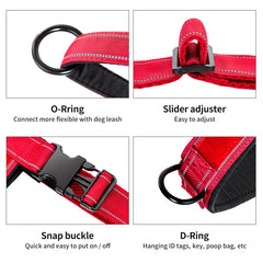 Arnés Annchwool con dos anillos para correa y accesorios