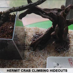 Anranmm tronco decorativo para terrario, escalada natural para reptiles.