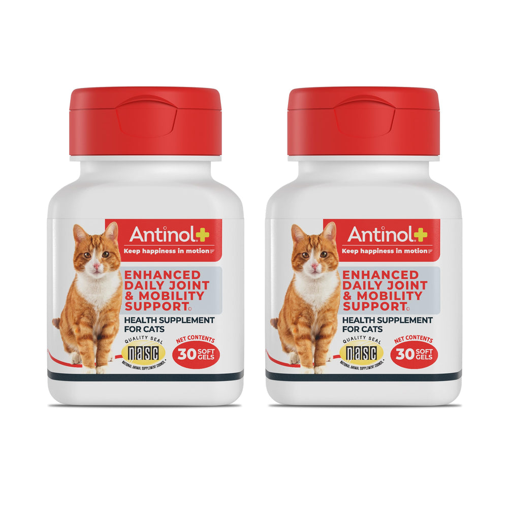 Antinol Plus: cápsulas blandas para gatos, apoyo a la movilidad diaria.