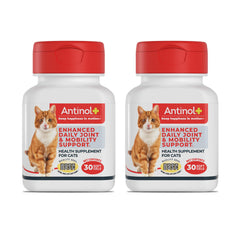 Antinol Plus: cápsulas blandas para gatos, apoyo a la movilidad diaria.