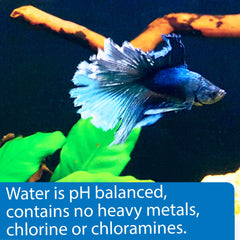 API Betta Water precondicionada sin metales, ideal para cambios semanales.