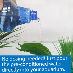 API Betta Water verter en acuario Betta para inicio rápido.