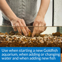 API GOLDFISH PROTECT: agua tratada lista para peces dorados sin cloro ni cloraminas.