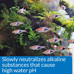 API pH Down aplicado en acuario de agua dulce para recrear niveles estables.