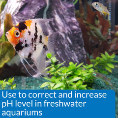 API pH UP en nuevo acuario facilita ajuste suave del pH.
