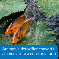 API POND AMMO-LOCK, elimina el estrés de peces por amonio en el agua.