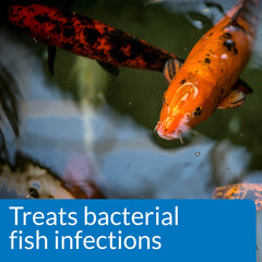 API POND MELAFIX extracto-arbol-te: extracto botánico para cuidado de peces.
