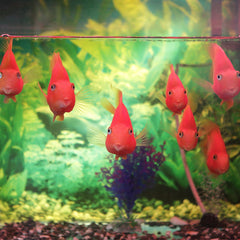 Mise en place simple grâce aux ventouses AQUANEAT, pour un usage non intrusif dans le bac.