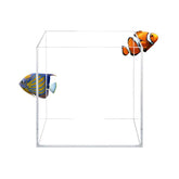 Acuatop cubo de cristal alta claridad, vista clara de peces y plantas