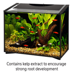 Extracto de alga kelp de Aqueon para desarrollo radicular