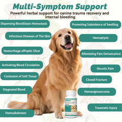Envase-caja de Arlistatmax Yunnan Sanqi, almacenamiento seguro para perros.