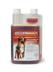 Perro activo disfrutando de ArthriMAXX para mantener su movilidad diaria.