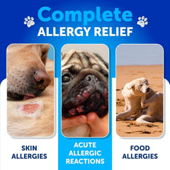 Artullano gomitas alergia perros, ingredientes clave con omega-3 para piel