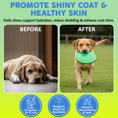 Asher House Wellness masticables sabor natural para perros, uso diario.