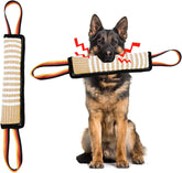 ASOCEA Juguete de Tirón para Perros, visión general; perfecto para juego interactivo y fortalecimiento de lazos.