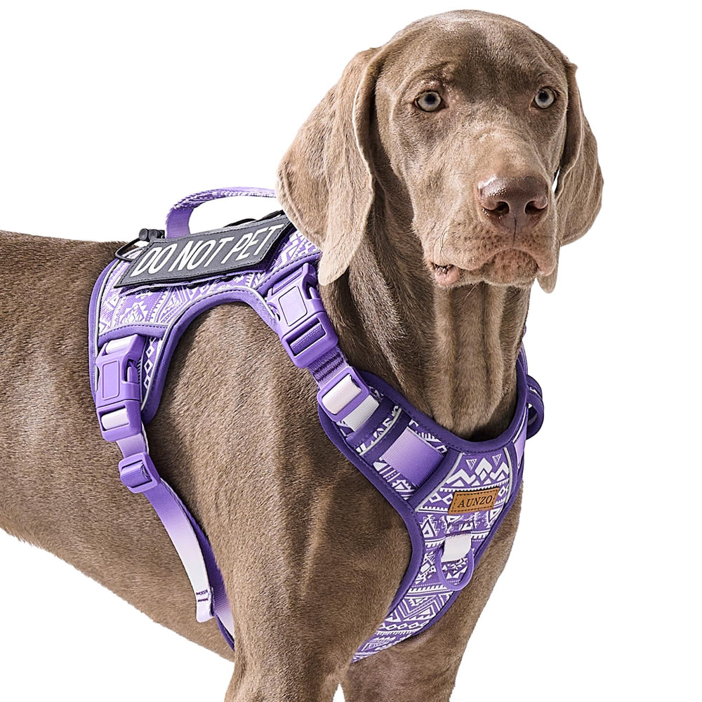 AUNZO arnés táctico para perro grande – frente, cómodo para paseos.