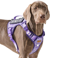 AUNZO arnés táctico para perro grande – frente, cómodo para paseos.