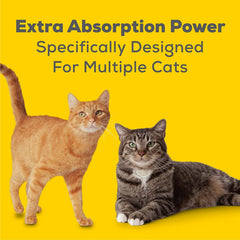 Juguete catnip Aurora Pet incluido, ideal para estimular juego.