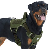 Arnés AUROTH para perro grande con control sin tirones durante paseos.