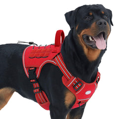 AUROTH arnés para perro grande sin tirones, mejor control.