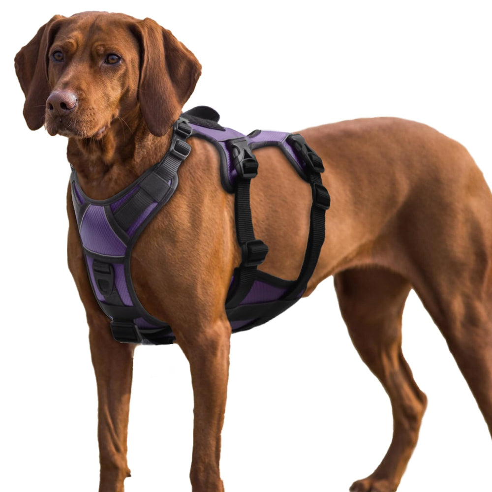 AUROTH arnés perro impide escaparse, paseos más seguros.