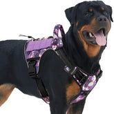 AUROTH arnés-táctico para perro con ajuste rápido y colocación sencilla para paseos.