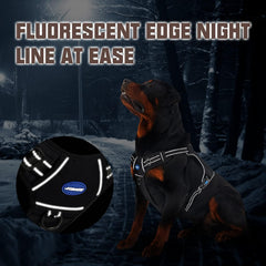 Gancho frontal para control sin tirones y entrenamiento con AUROTH.